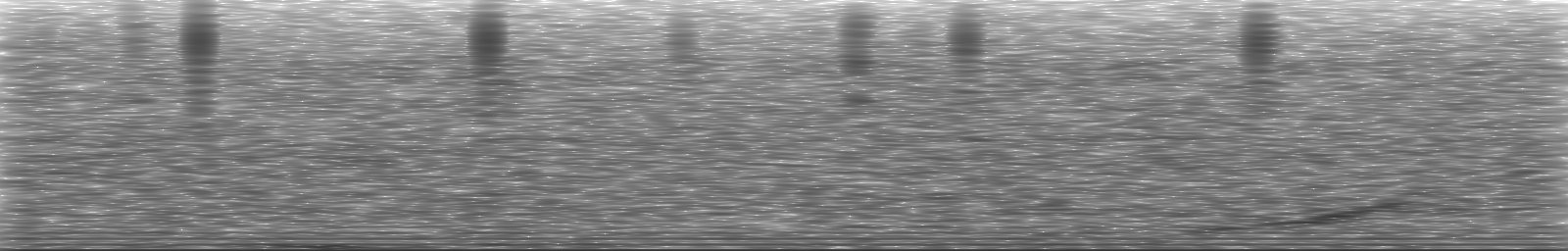 [Loading Spectrogram]