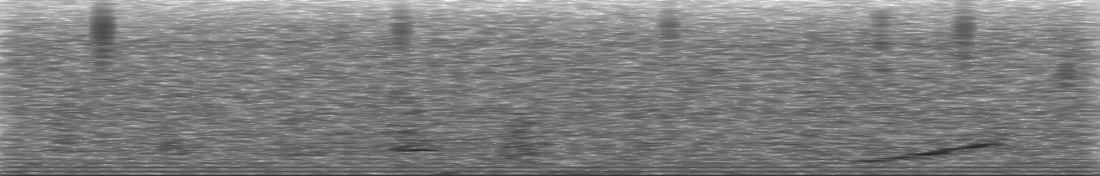 [Loading Spectrogram]