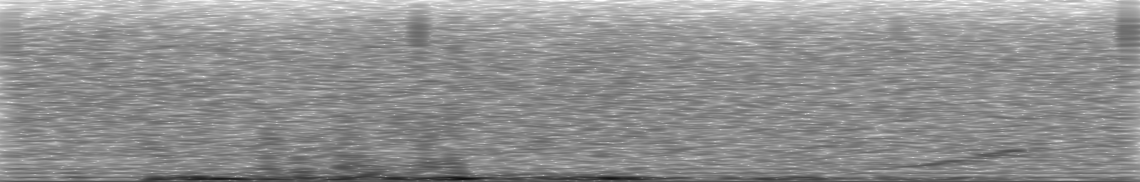 [Loading Spectrogram]