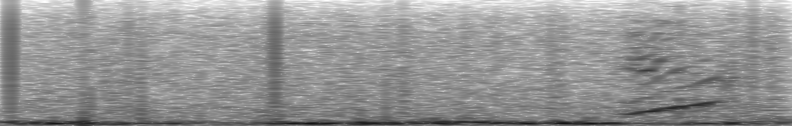 [Loading Spectrogram]