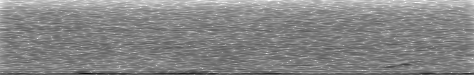 [Loading Spectrogram]