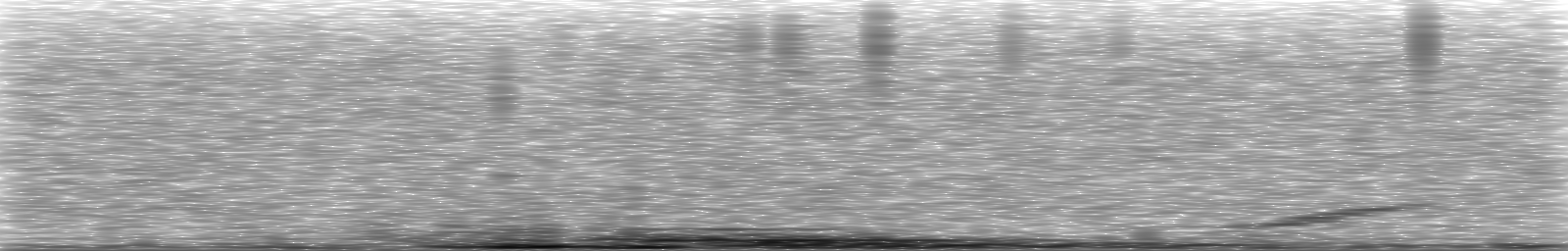 [Loading Spectrogram]