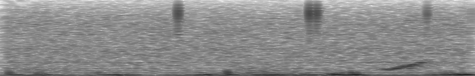 [Loading Spectrogram]