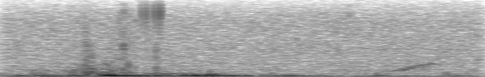 [Loading Spectrogram]