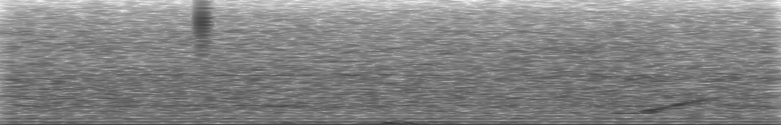 [Loading Spectrogram]