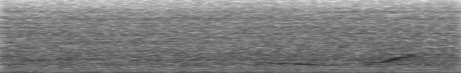 [Loading Spectrogram]