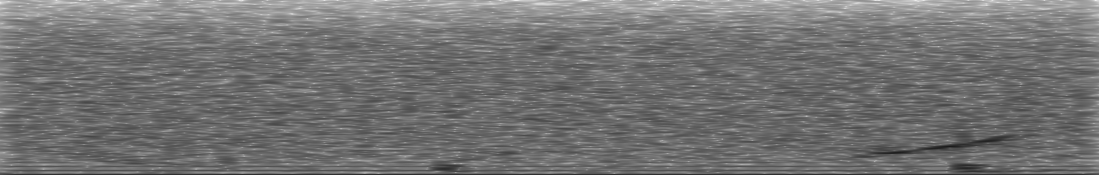 [Loading Spectrogram]