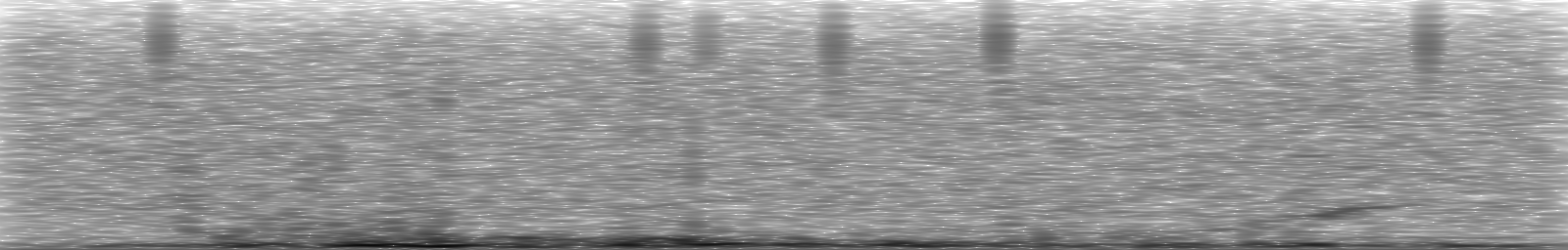 [Loading Spectrogram]