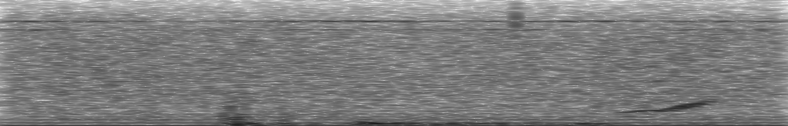 [Loading Spectrogram]