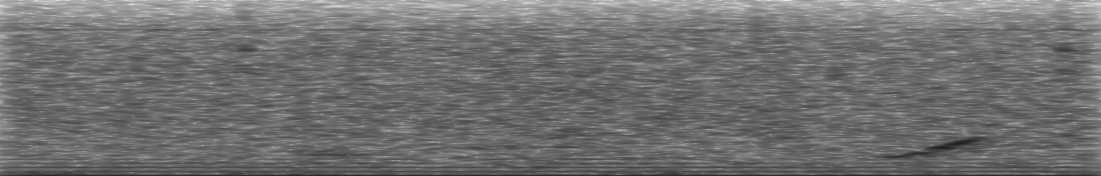 [Loading Spectrogram]