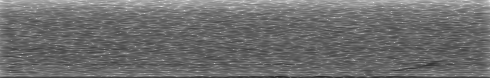 [Loading Spectrogram]