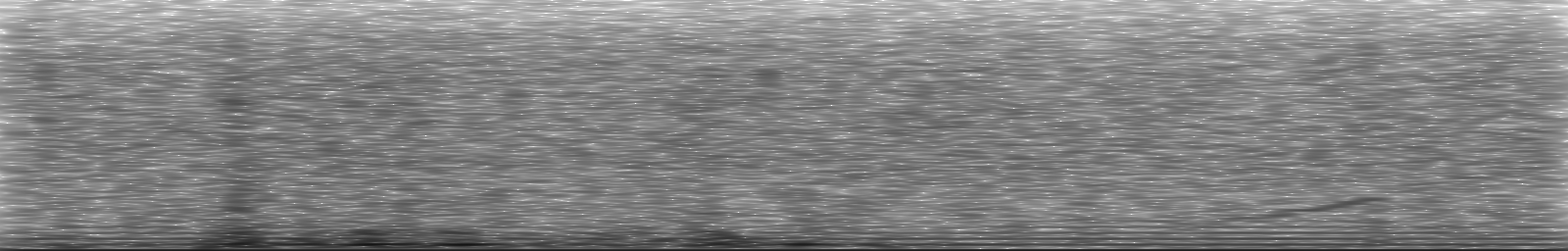 [Loading Spectrogram]
