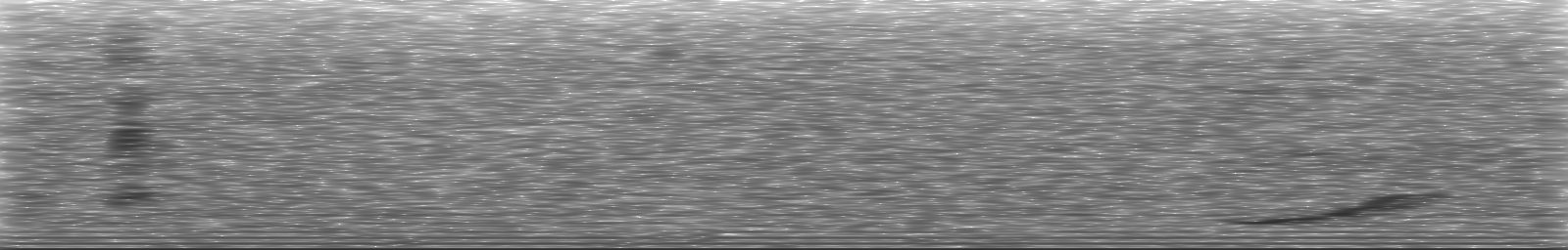 [Loading Spectrogram]