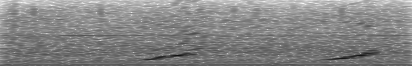 [Loading Spectrogram]