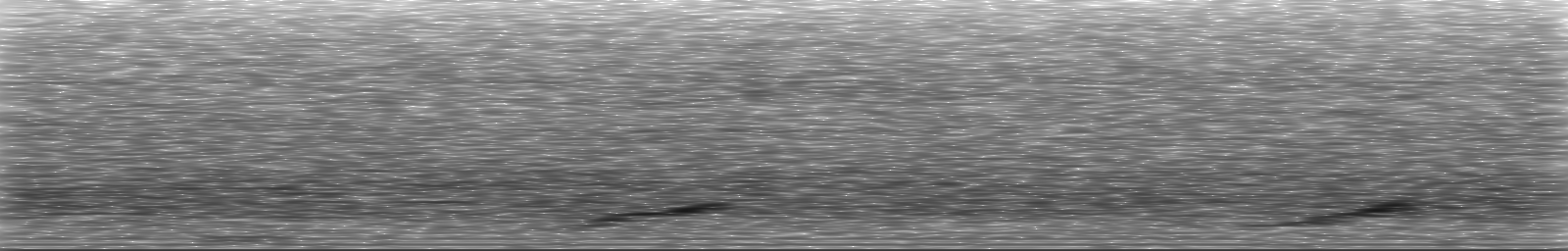 [Loading Spectrogram]