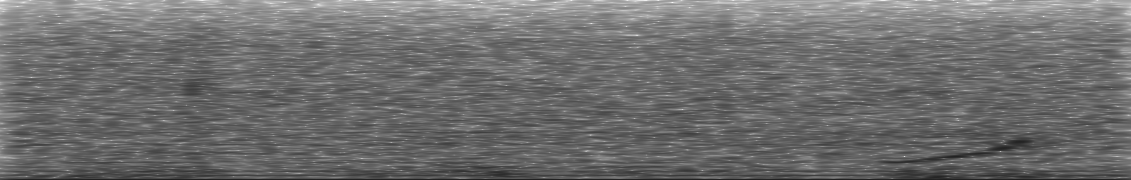 [Loading Spectrogram]