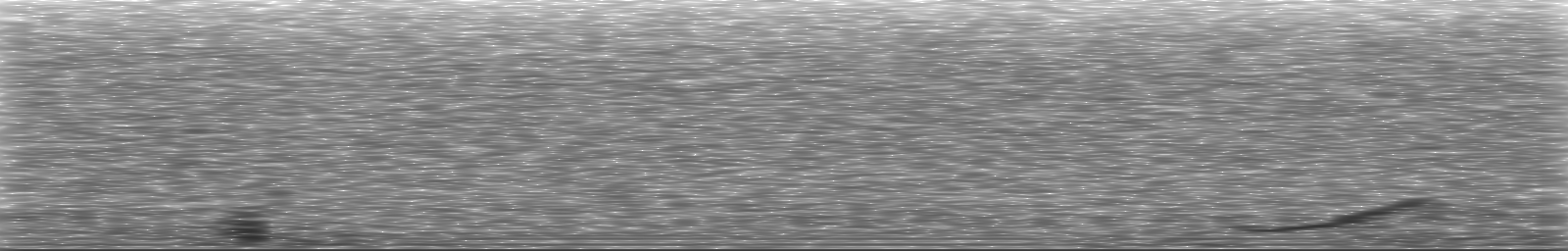 [Loading Spectrogram]