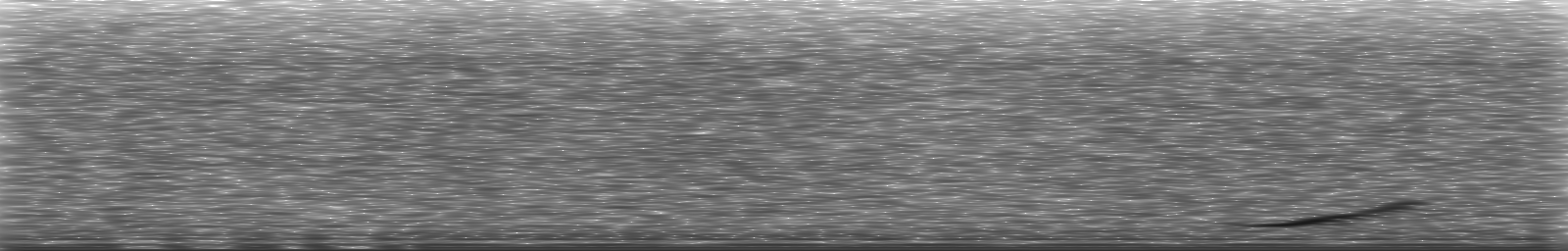 [Loading Spectrogram]