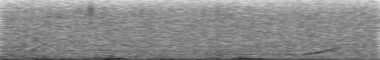 [Loading Spectrogram]