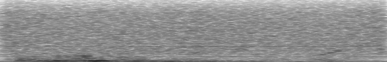 [Loading Spectrogram]