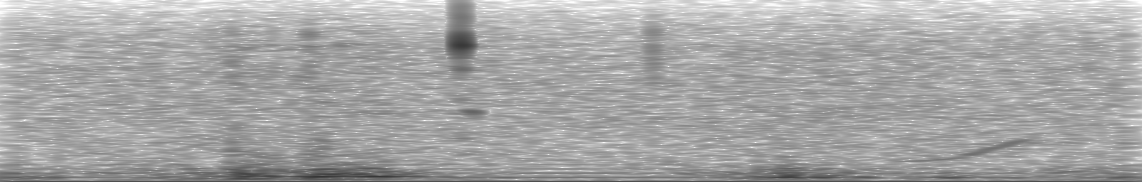 [Loading Spectrogram]