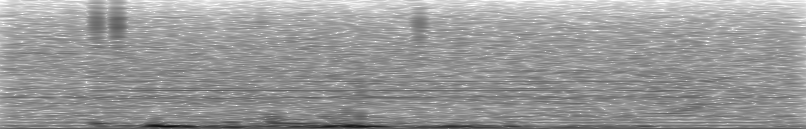[Loading Spectrogram]