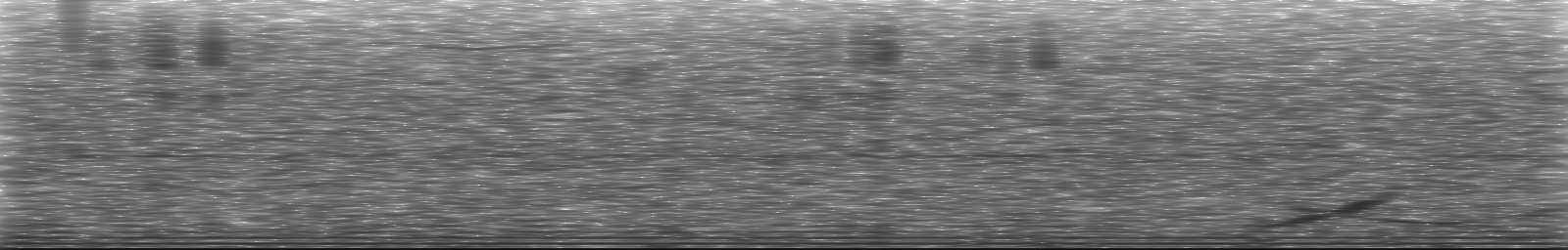 [Loading Spectrogram]