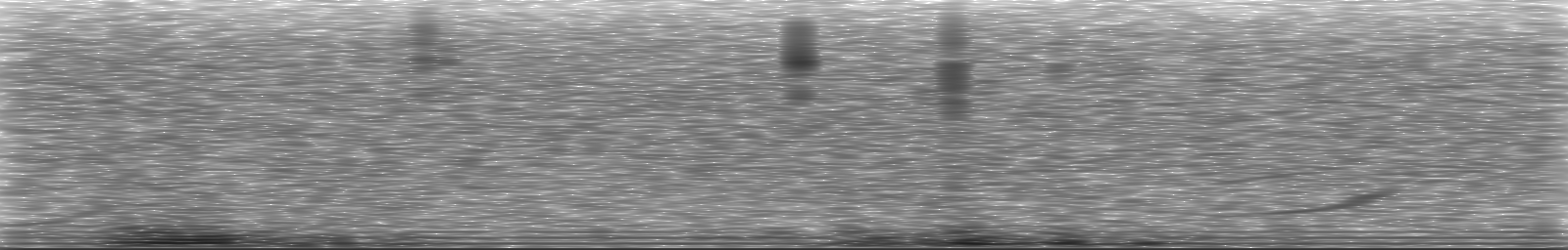 [Loading Spectrogram]