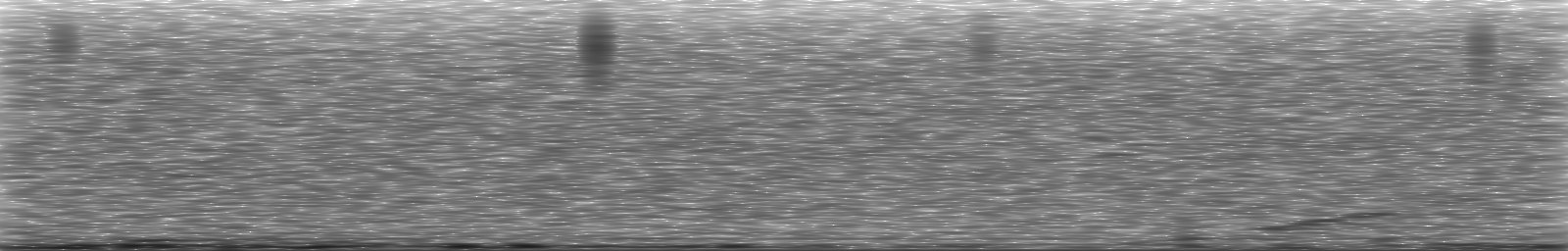 [Loading Spectrogram]