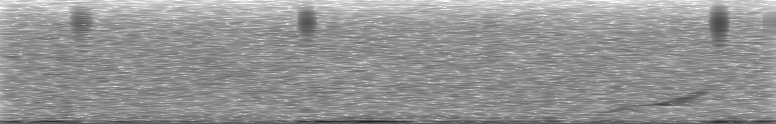 [Loading Spectrogram]