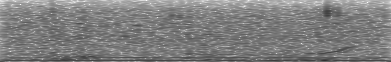 [Loading Spectrogram]