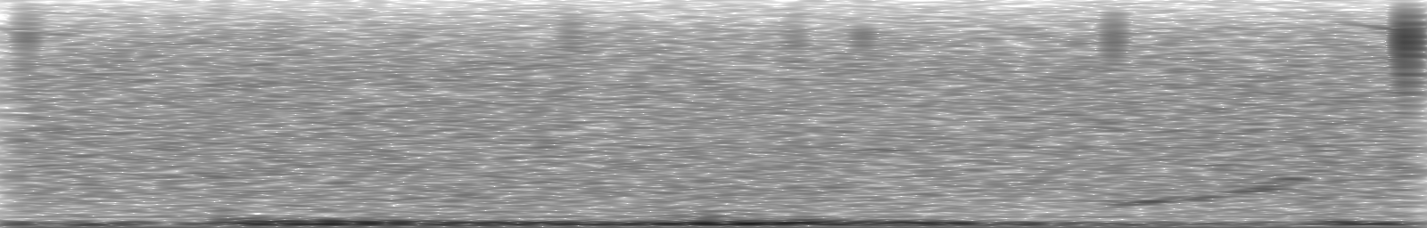 [Loading Spectrogram]