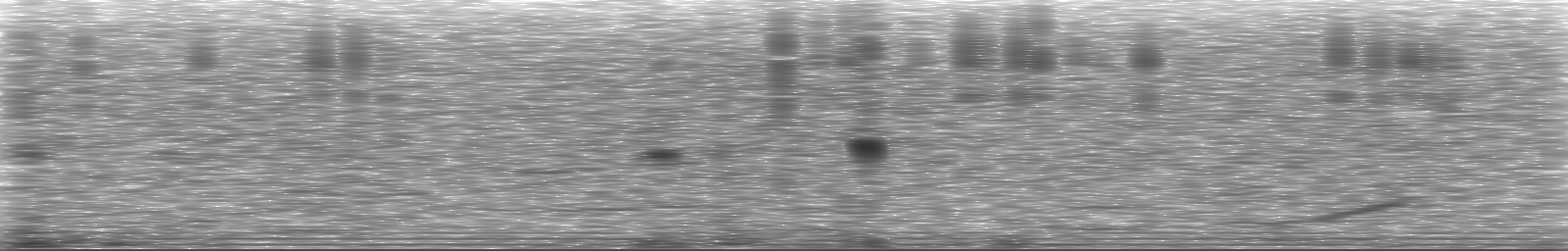 [Loading Spectrogram]