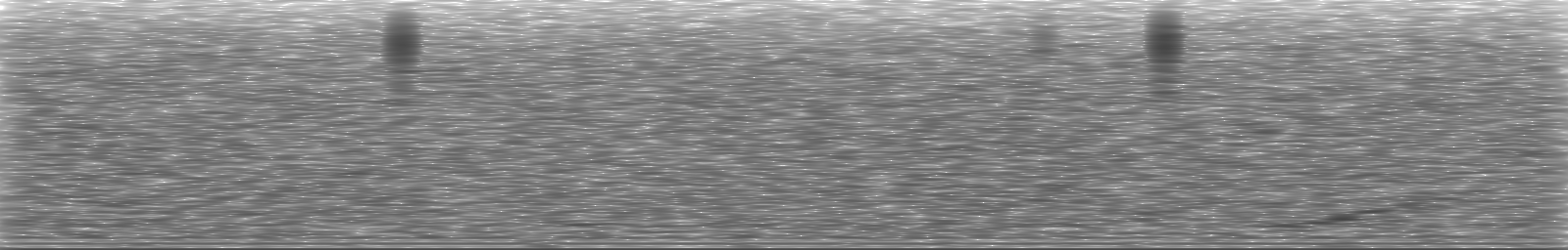 [Loading Spectrogram]