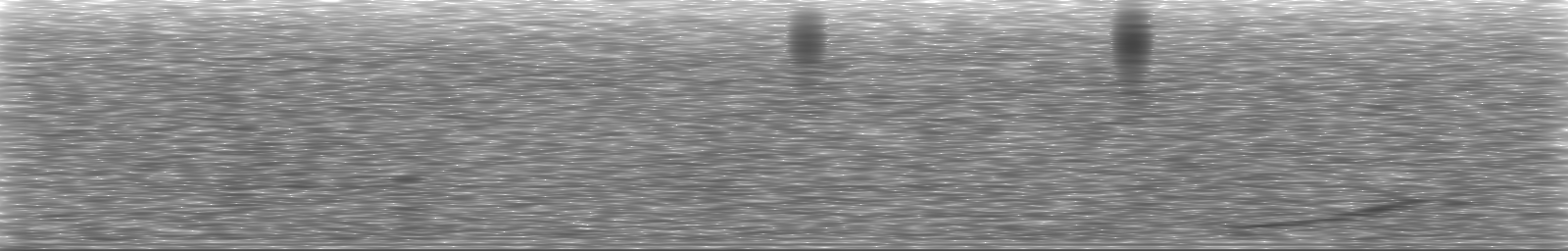 [Loading Spectrogram]