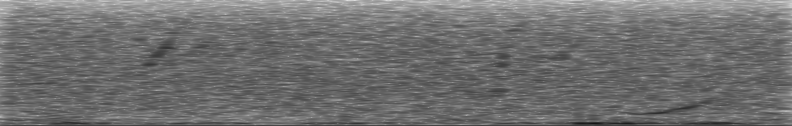 [Loading Spectrogram]
