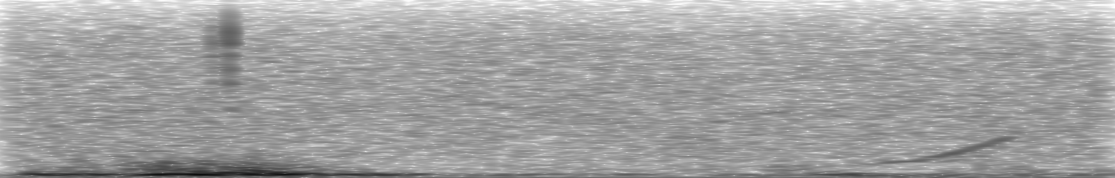 [Loading Spectrogram]