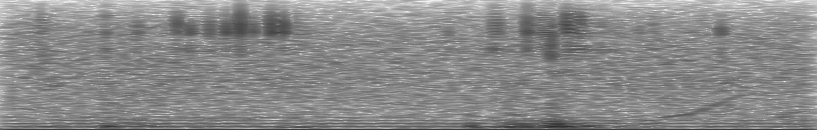 [Loading Spectrogram]