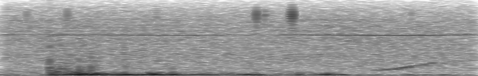 [Loading Spectrogram]