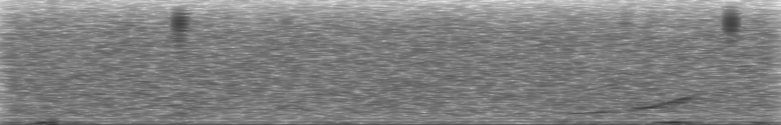 [Loading Spectrogram]