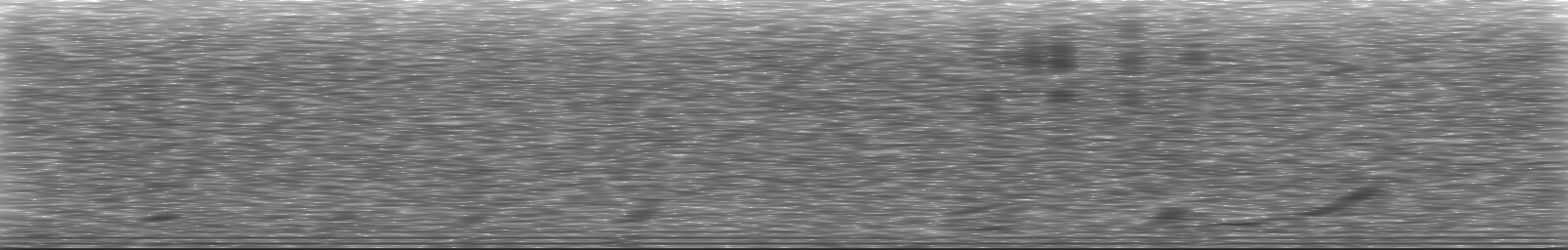 [Loading Spectrogram]