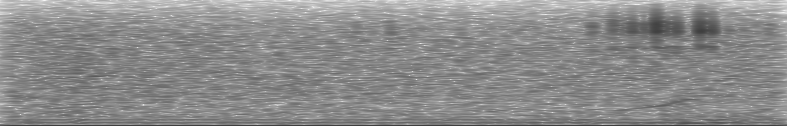 [Loading Spectrogram]