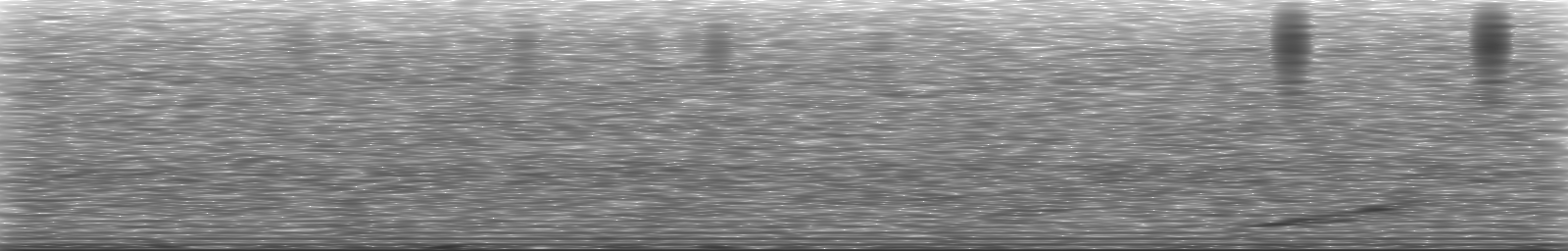 [Loading Spectrogram]