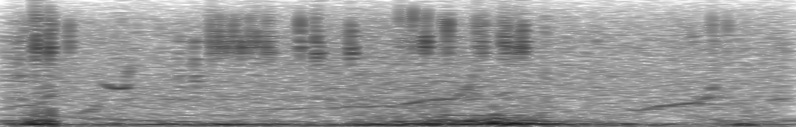 [Loading Spectrogram]