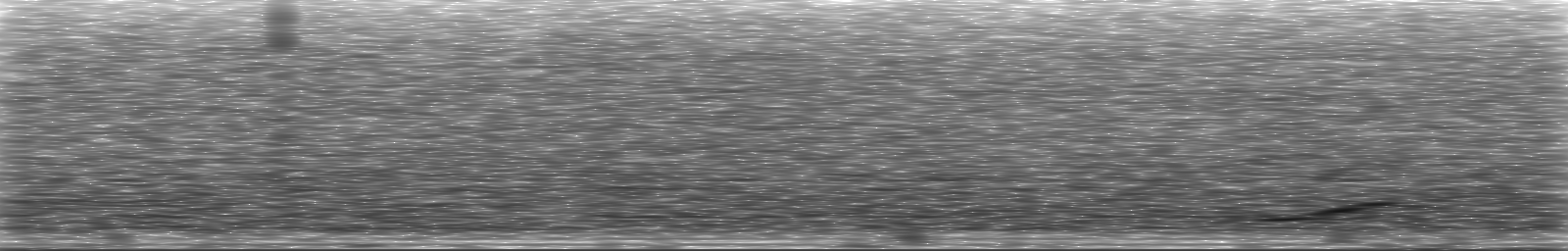 [Loading Spectrogram]