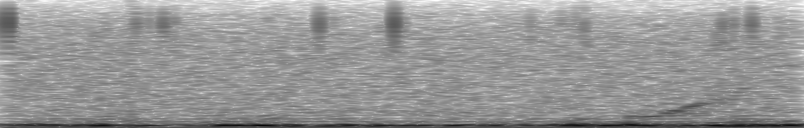 [Loading Spectrogram]