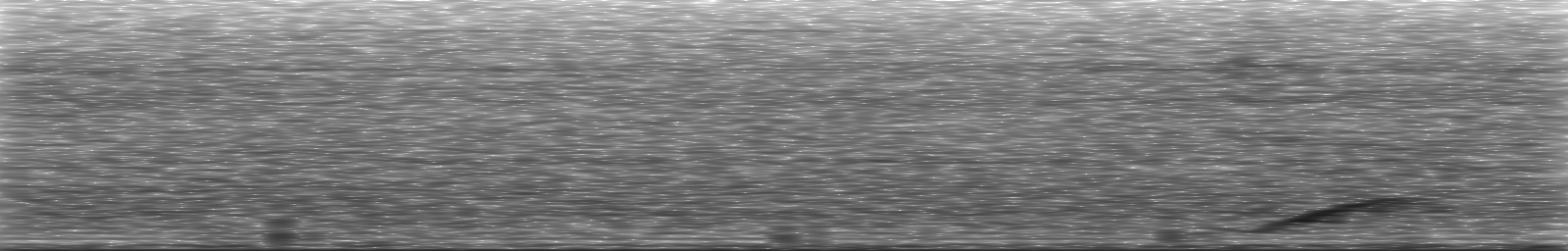 [Loading Spectrogram]