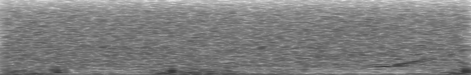 [Loading Spectrogram]