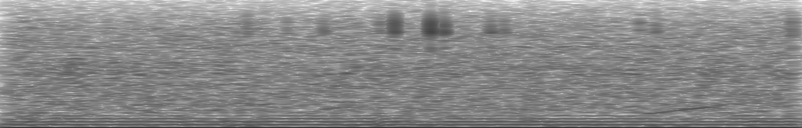 [Loading Spectrogram]