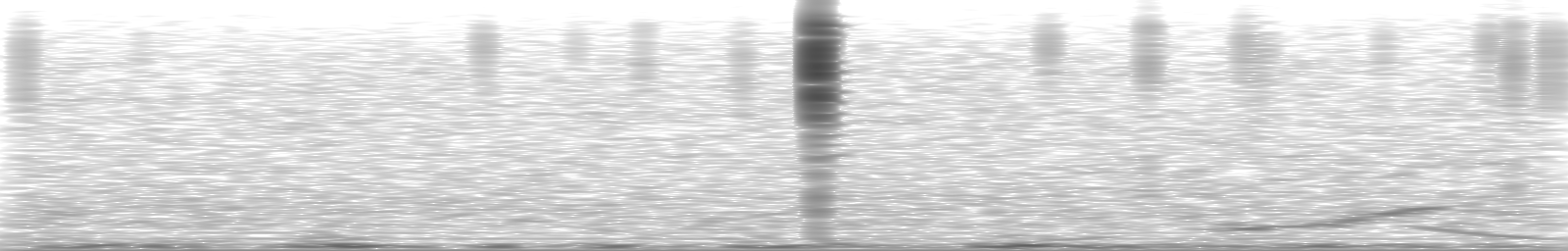 [Loading Spectrogram]